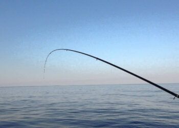 20^ Gara di Pesca al bolentino nel mare cristallino di Cirò Marina